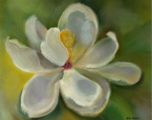 pastel magnolia